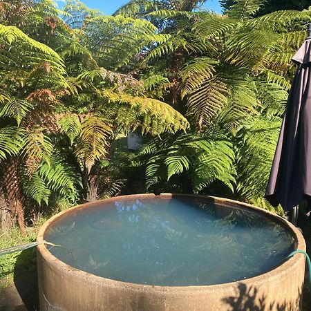 Whare&Geothermal Pool By Lake Taupo Туранги Екстериор снимка