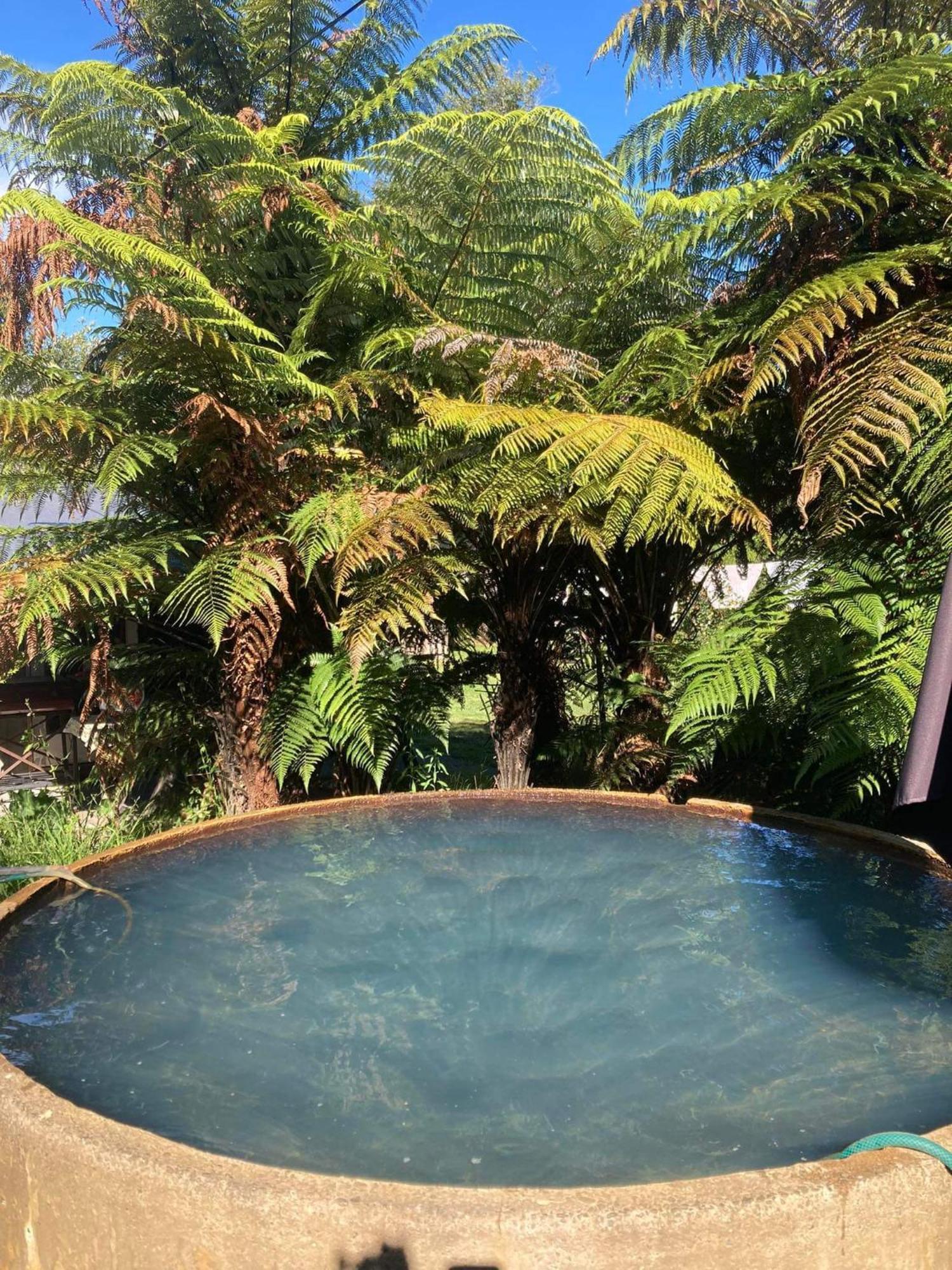 Whare&Geothermal Pool By Lake Taupo Туранги Екстериор снимка